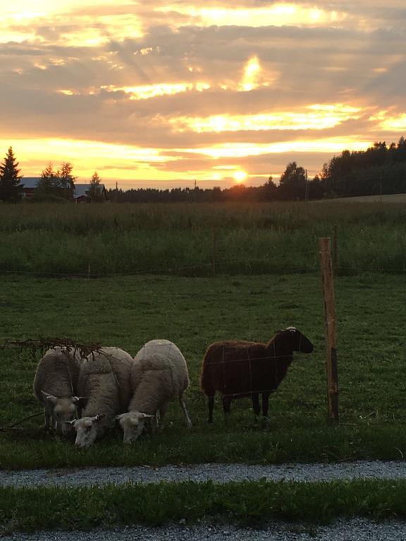 Kerimäki Lomatila Ollila Farm Stay المظهر الخارجي الصورة