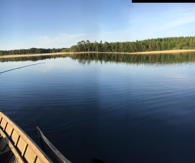 Kerimäki Lomatila Ollila Farm Stay المظهر الخارجي الصورة